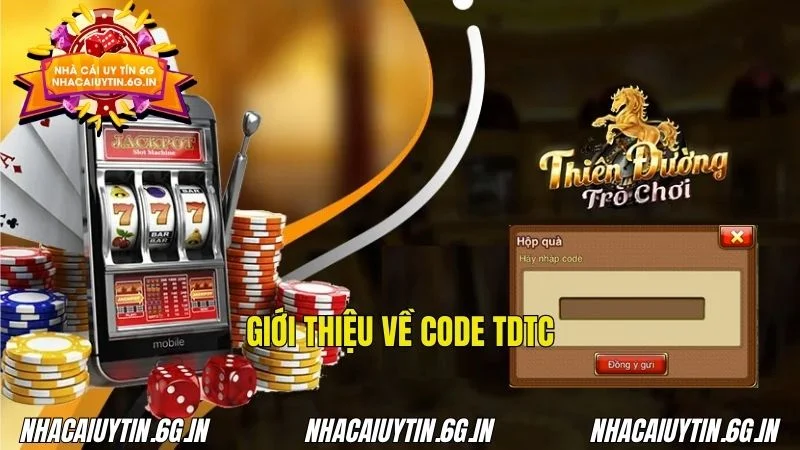 Các mã code hấp dẫn, ưu đãi đặc biệt từ TDTC