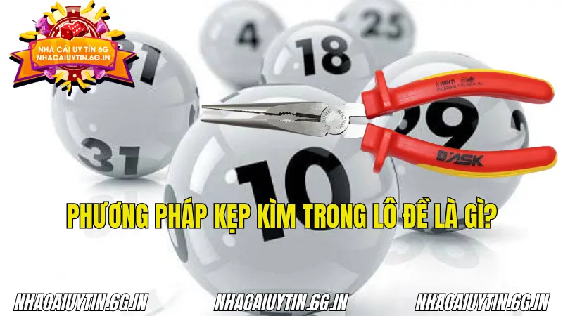 Những thông tin sơ lược về phương pháp kẹp kìm