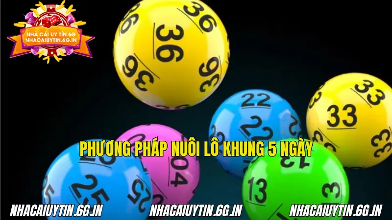 Phương pháp nuôi lô khung 5 ngày được ưa chuộng rộng rãi
