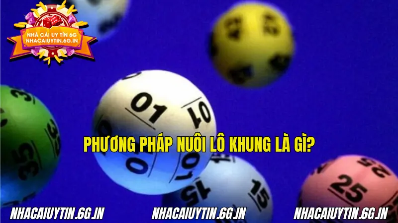 Những thông tin sơ lược về phương pháp nuôi lô khung