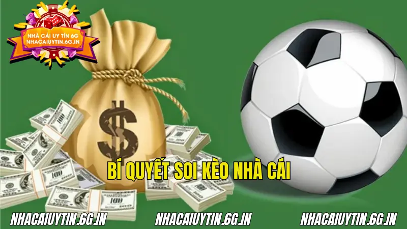 Đọc vị biến động tỷ lệ để dẫn dắt chiến thắng khôn ngoan