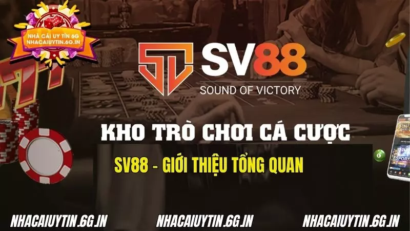 Khám phá nền tảng giải trí được đánh giá cao