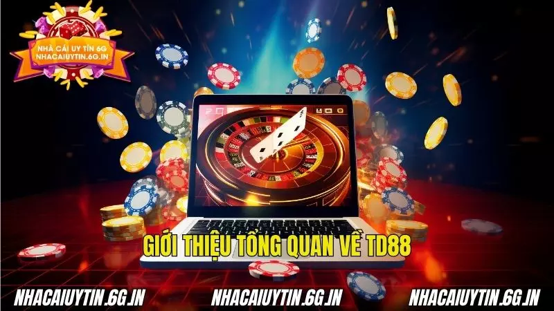 Nền tảng cá cược hiện đại với phong cách vận hành chuyên nghiệp