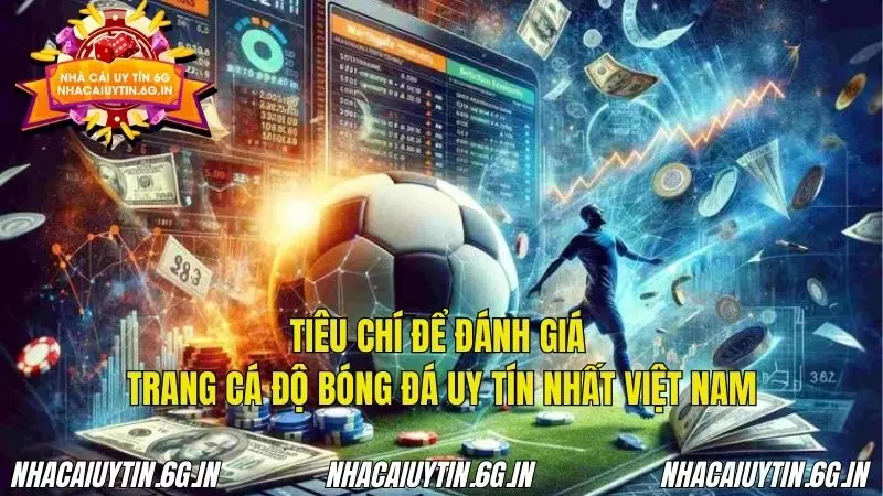 Tiêu chí đánh giá chuẩn nhất về trang cá độ bóng đá uy tín nhất Việt Nam