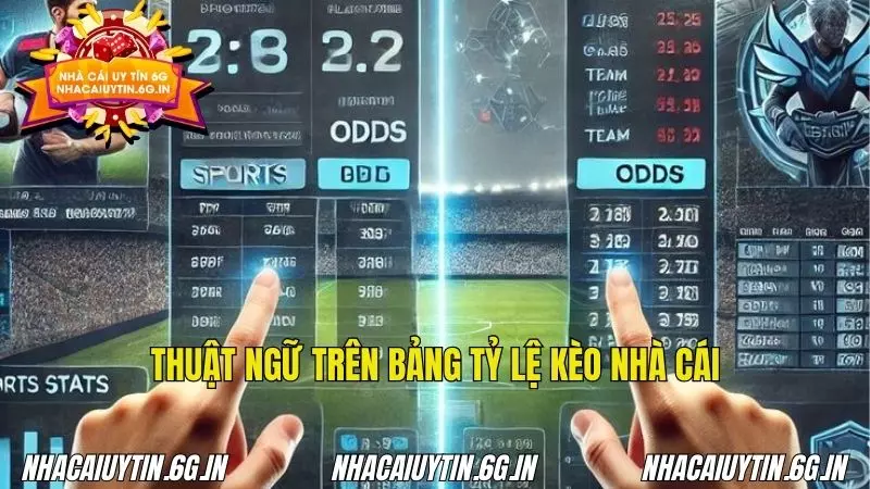 Hiểu kèo giúp người chơi đặt cược một cách khôn ngoan