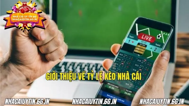 Tỷ lệ cược phản ánh chiến lược của nhà cái trước trận