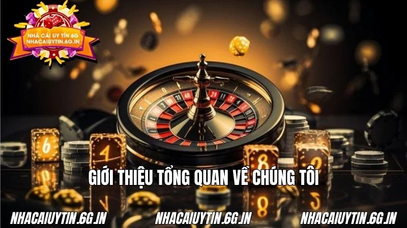 Thông tin giới thiệu cụ thể